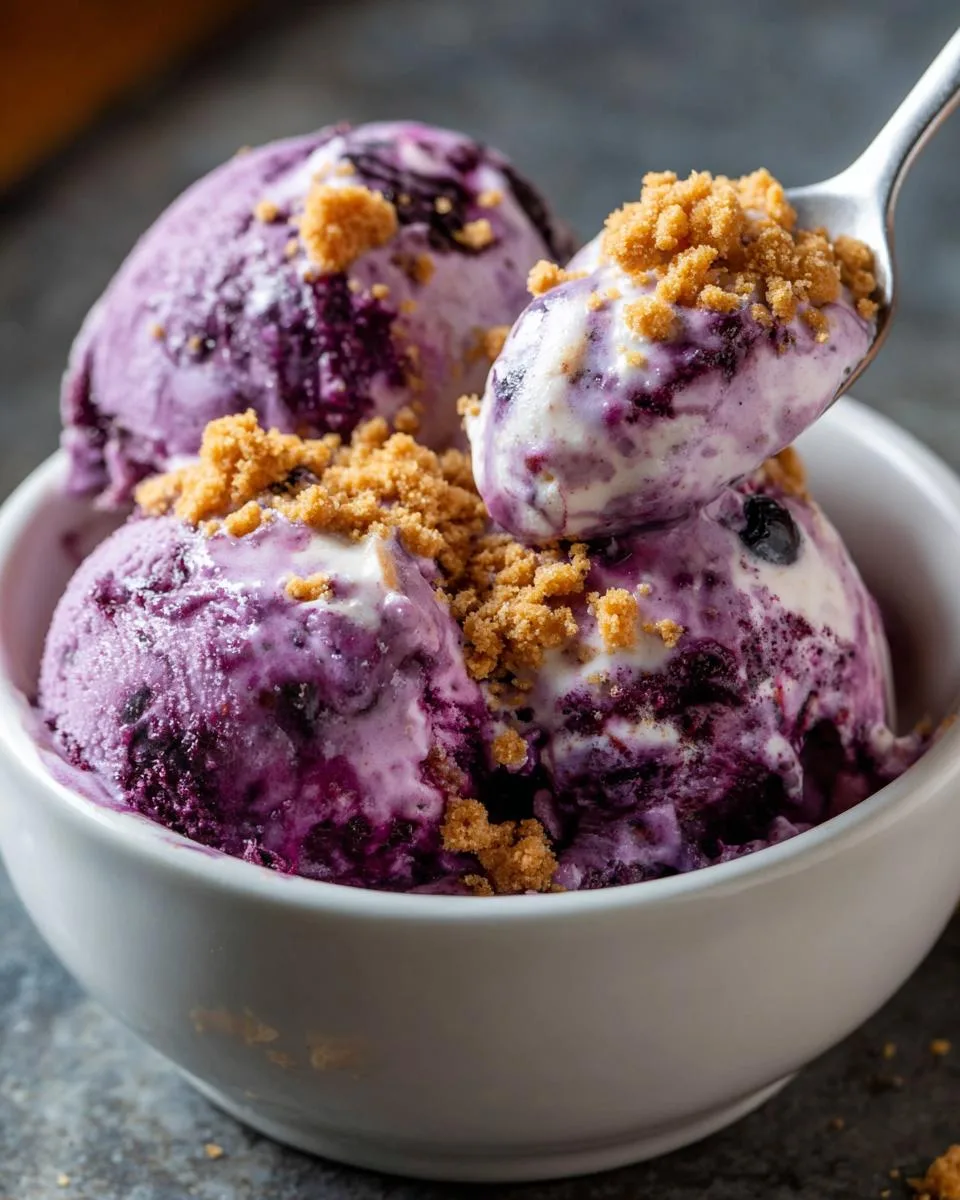 Blueberry Cheesecake Cottage Cheese Ice Cream - detail 3